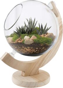 861x1200 glas