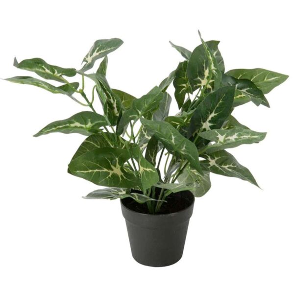 Caladium Kunstplant 1