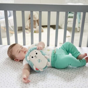 Fisher Price Kalmerende geluidjes Egel 13