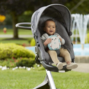 Fisher Price Kalmerende geluidjes Egel 14