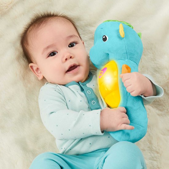 Fisher Price Zeepaardje3