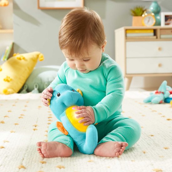 Fisher Price Zeepaardje6