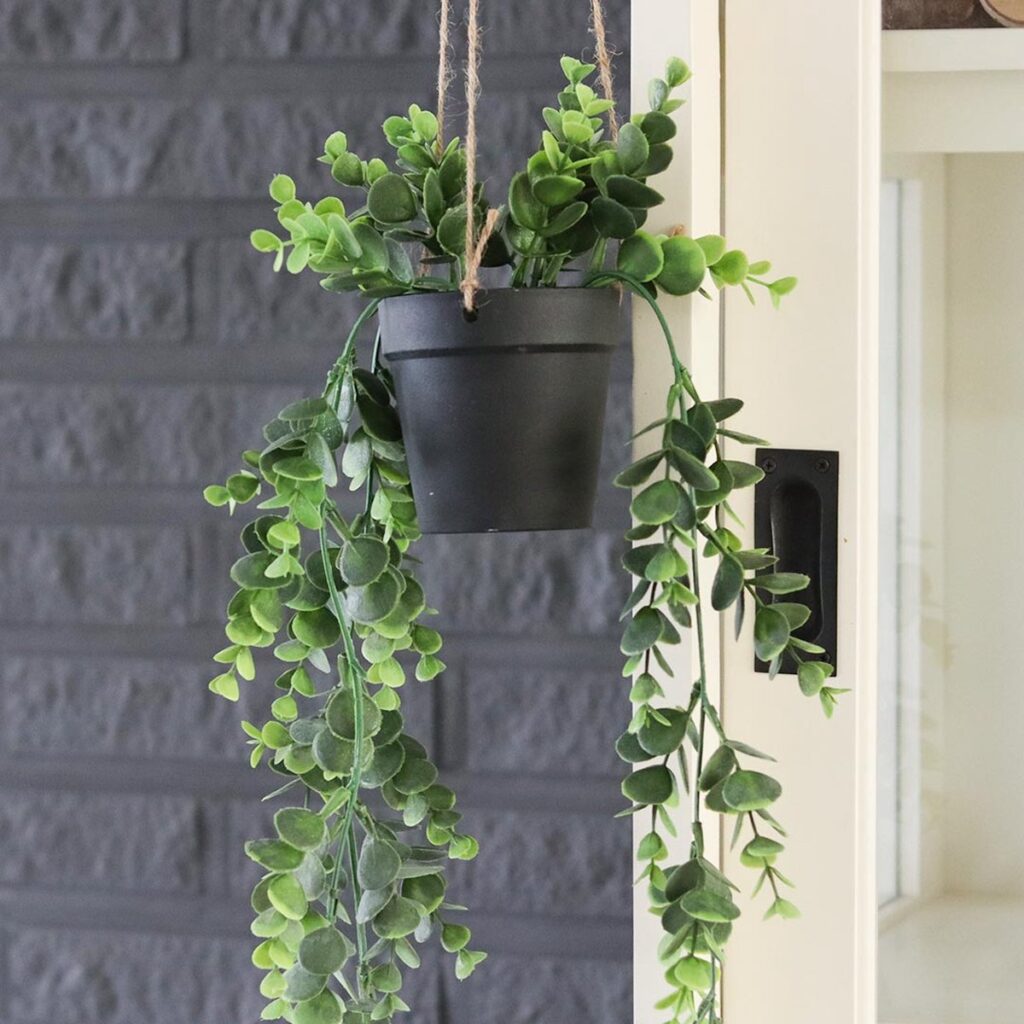 Kunstplant Senecio 01