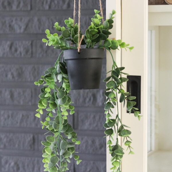 Kunstplant Senecio 01