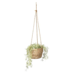 Plantenhanger mand 04